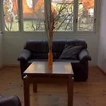 Casa Di Pinokio 索波特